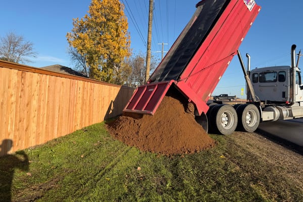 Professional landscaping transformation